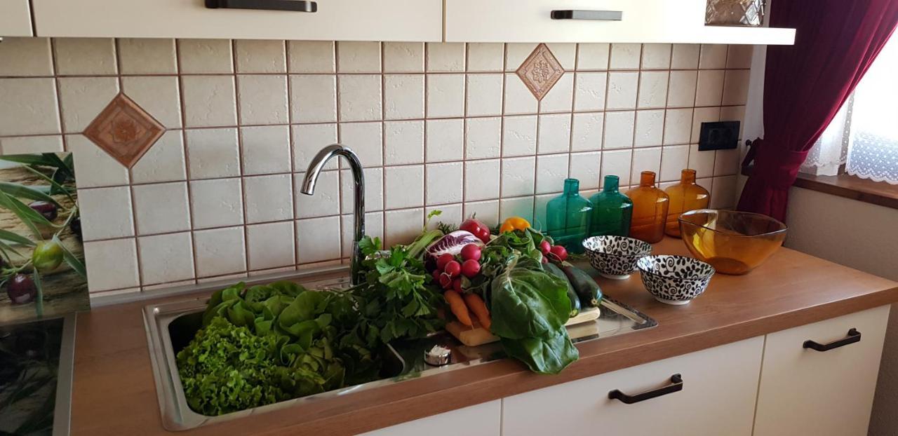 Apartmens Alenka Rovinj Exteriör bild